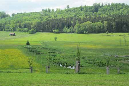 Pflanzenkläranlage