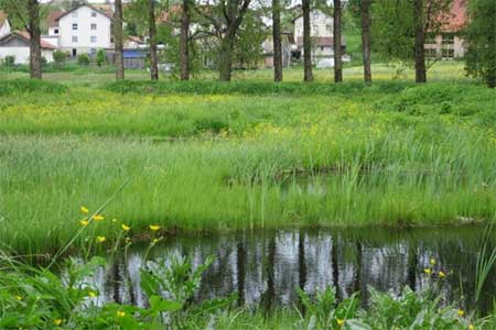 Hochwasserschutz im Angermoos